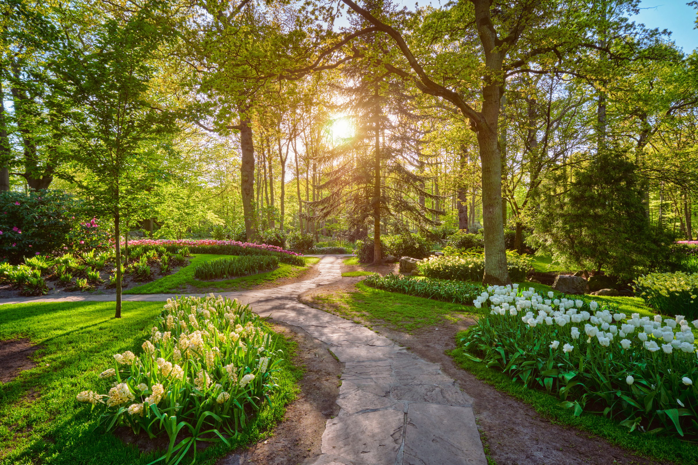 84 keukenhof gardens, lisse.webp